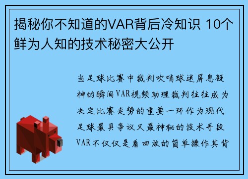 揭秘你不知道的VAR背后冷知识 10个鲜为人知的技术秘密大公开